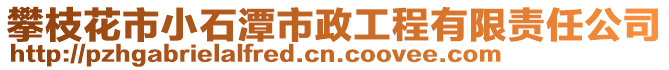 攀枝花市小石潭市政工程有限责任公司