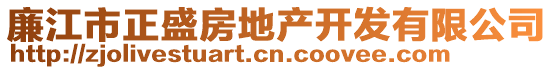 廉江市正盛房地产开发有限公司