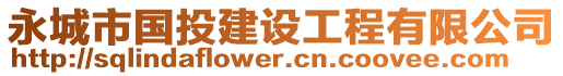 永城市國投建設工程有限公司