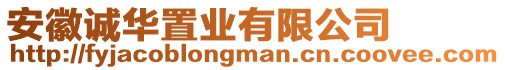 安徽誠(chéng)華置業(yè)有限公司