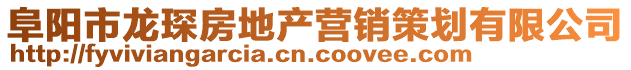 阜阳市龙琛房地产营销策划有限公司