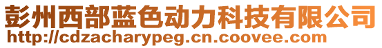 彭州西部藍(lán)色動(dòng)力科技有限公司