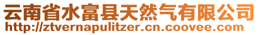 云南省水富縣天然氣有限公司