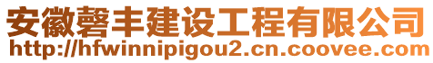 安徽磬豐建設(shè)工程有限公司