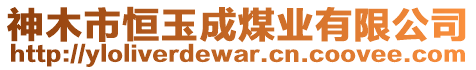 神木市恒玉成煤業(yè)有限公司