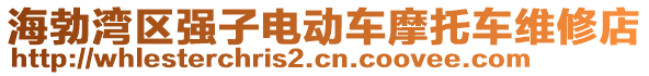 海勃灣區(qū)強(qiáng)子電動車摩托車維修店