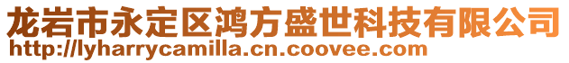 龙岩市永定区鸿方盛世科技有限公司