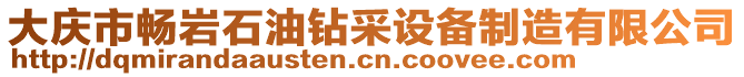 大慶市暢巖石油鉆采設(shè)備制造有限公司