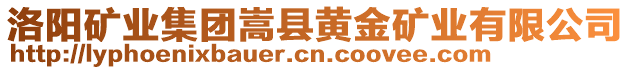 洛阳矿业集团嵩县黄金矿业有限公司