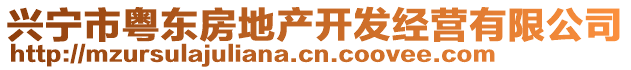 興寧市粵東房地產(chǎn)開發(fā)經(jīng)營有限公司