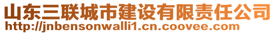 山東三聯(lián)城市建設(shè)有限責(zé)任公司