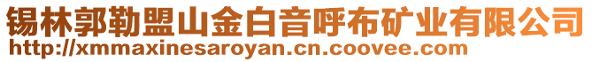 錫林郭勒盟山金白音呼布礦業(yè)有限公司