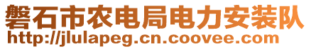 磐石市農(nóng)電局電力安裝隊