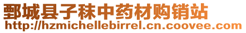 鄄城縣子秣中藥材購銷站