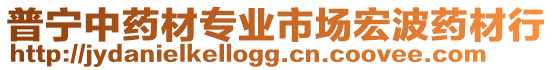 普寧中藥材專業(yè)市場(chǎng)宏波藥材行