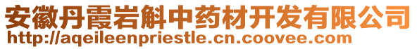 安徽丹霞巖斛中藥材開(kāi)發(fā)有限公司