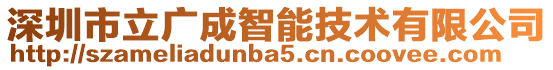 深圳市立廣成智能技術(shù)有限公司