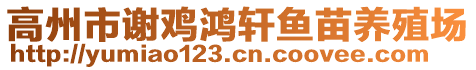 高州市謝雞鴻軒魚(yú)苗養(yǎng)殖場(chǎng)