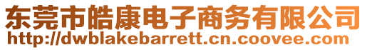 東莞市皓康電子商務(wù)有限公司