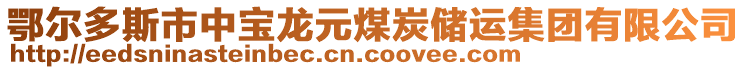 鄂尔多斯市中宝龙元煤炭储运集团有限公司