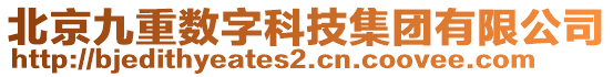 北京九重数字科技集团有限公司