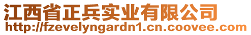 江西省正兵實(shí)業(yè)有限公司