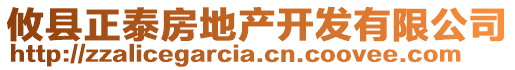 攸縣正泰房地產(chǎn)開發(fā)有限公司