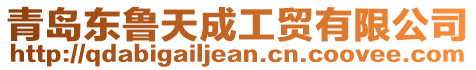 青島東魯天成工貿(mào)有限公司