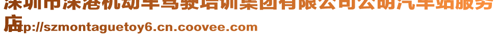 深圳市深港機(jī)動車駕駛培訓(xùn)集團(tuán)有限公司公明汽車站服務(wù)
店