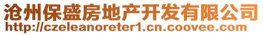 滄州保盛房地產(chǎn)開(kāi)發(fā)有限公司