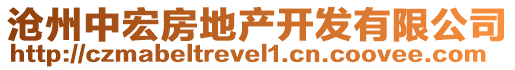 滄州中宏房地產(chǎn)開發(fā)有限公司