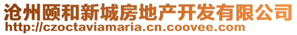 沧州颐和新城房地产开发有限公司