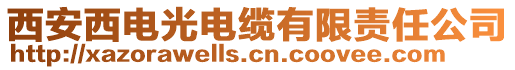 西安西电光电缆有限责任公司