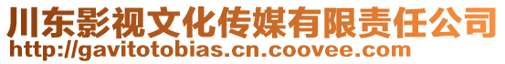 川东影视文化传媒有限责任公司