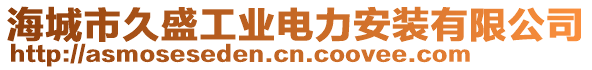 海城市久盛工业电力安装有限公司