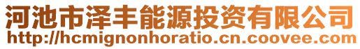 河池市泽丰能源投资有限公司