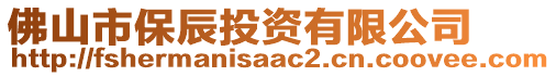 佛山市保辰投資有限公司