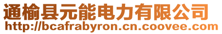 通榆縣元能電力有限公司