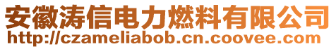 安徽濤信電力燃料有限公司