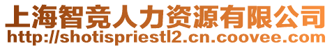 上海智競?cè)肆Y源有限公司