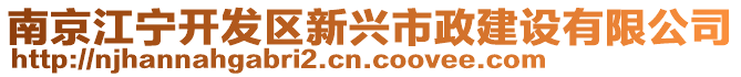 南京江寧開發(fā)區(qū)新興市政建設(shè)有限公司