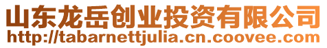 山東龍?jiān)绖?chuàng)業(yè)投資有限公司