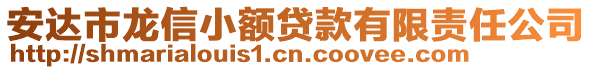 安达市龙信小额贷款有限责任公司