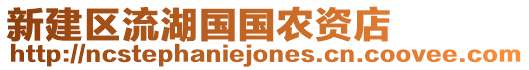 新建区流湖国国农资店