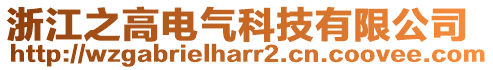 浙江之高電氣科技有限公司