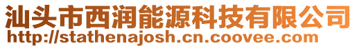 汕頭市西潤能源科技有限公司