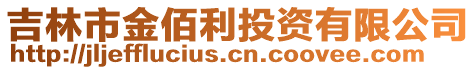 吉林市金佰利投资有限公司