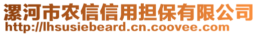 漯河市農(nóng)信信用擔(dān)保有限公司