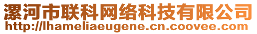 漯河市聯(lián)科網(wǎng)絡(luò)科技有限公司