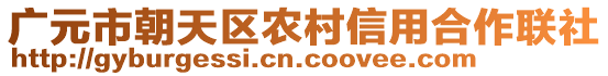 广元市朝天区农村信用合作联社